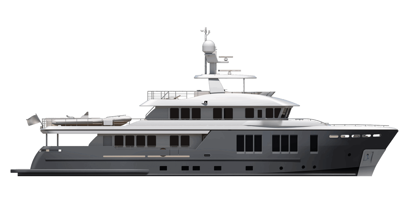 Darwin Class 115 modello