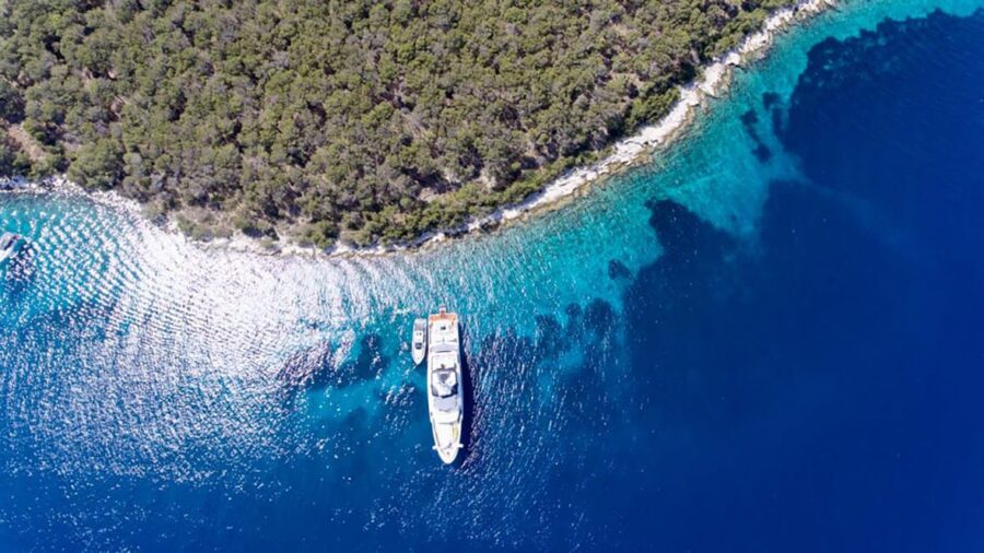 Acala Deep Blue Journey